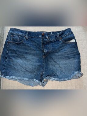 LOFT Dark Blue Denim Jean Shorts